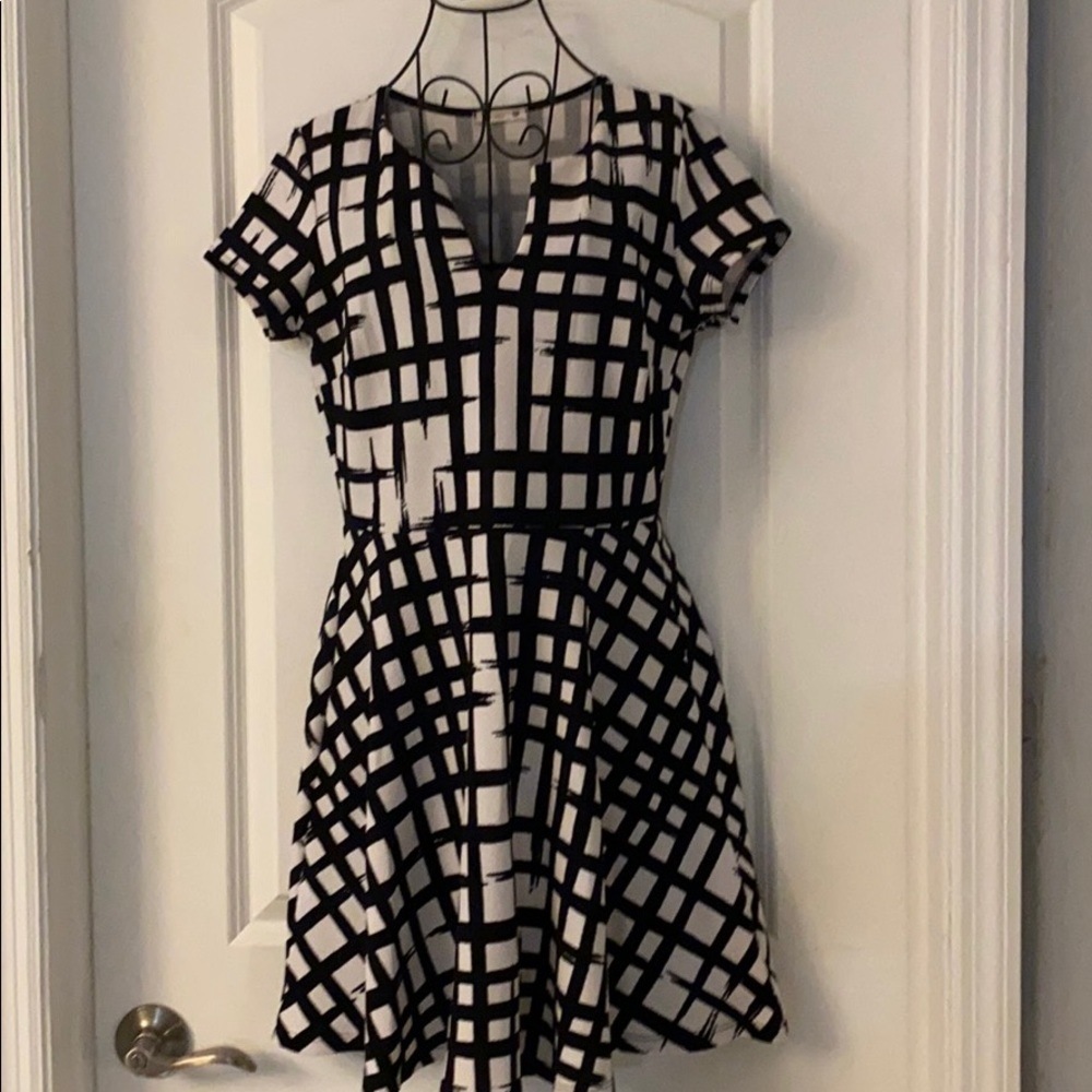 Fit and Flare Black and White Dress